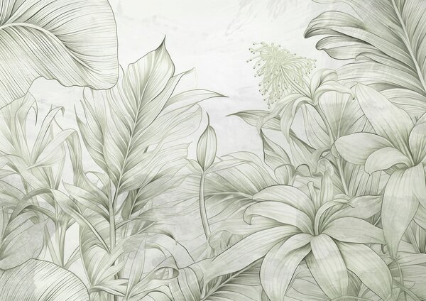 Fototapeta Jemná zeleň v jemném botanickém designu, Přírodní fototapety, Populární fototapety, w03201v2 - Tapeko.co.cz