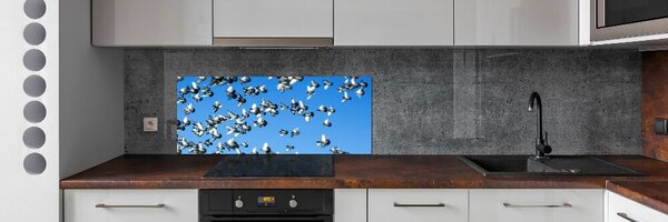 Dekorační panel sklo Stádo holubů pksh-99282619