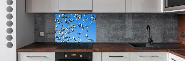 Dekorační panel sklo Stádo holubů pksh-99282619