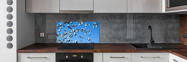 Dekorační panel sklo Stádo holubů pksh-99282619