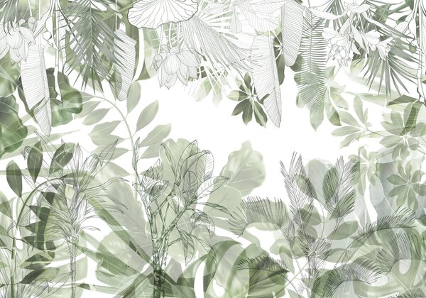 Fototapeta Botanická krása v jemné zelené, Přírodní fototapety, Populární fototapety, w08823 - Tapeko.co.cz