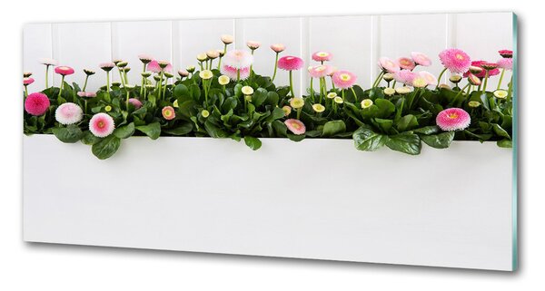 Panel do kuchyně Růžové sedmikrásky pksh-99649628