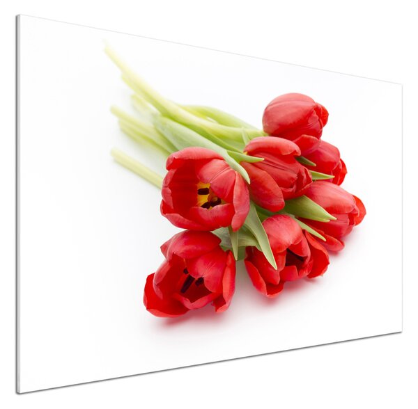 Panel do kuchyně Červené tulipány pksh-99817079