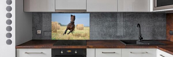Panel do kuchyně Kůň ve cvalu pksh-99827163