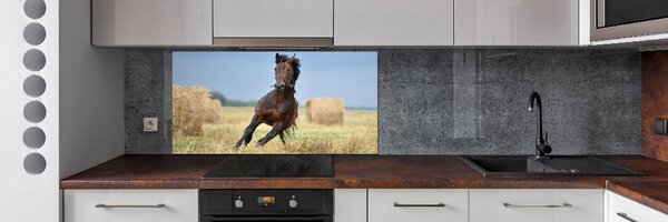 Panel do kuchyně Kůň ve cvalu pksh-99827163