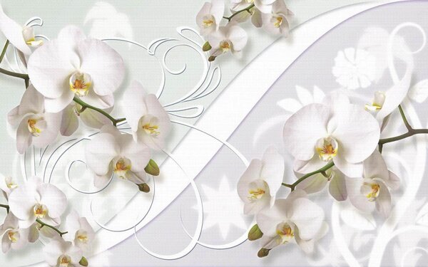 Fototapeta Jemné orchideje v jemných odstínech, Květinové fototapety, Populární fototapety, u04707 - Tapeko.co.cz
