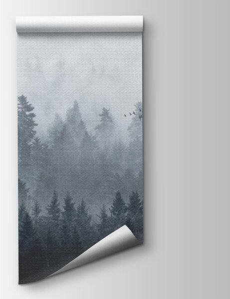 Fototapeta Skupina ptáků letících nad lesem, Fototapety s mlžným lesem, Populární fototapety, u16629 - Tapeko.co.cz