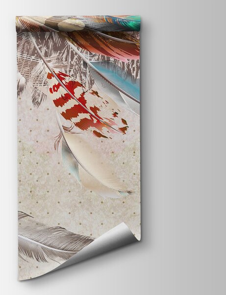 Fototapeta Skupina barevných per, Fototapety s pírky, Populární fototapety, u20247 - Tapeko.co.cz