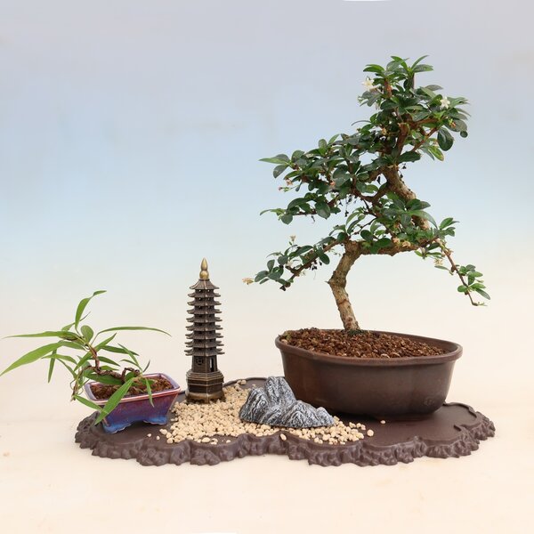 E-bonsai Plastový podstavec pod bonsai 43 x 25 x 1,5 cm hnědá