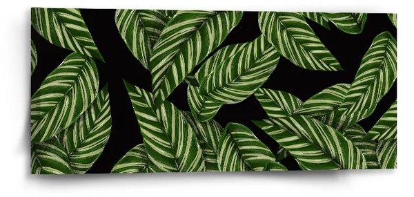 Sablio Obraz Abstrakce listů - 110x50 cm