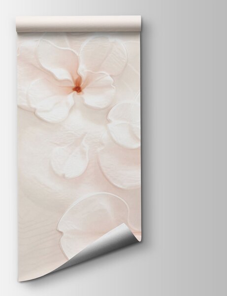 Fototapeta Skupina bílých květů, 3D květinové fototapety, Populární fototapety, u37030 - Tapeko.co.cz