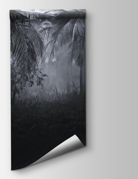 Fototapeta Mlžný les s palmami, Fototapety s tropickým motivem, Populární fototapety, u51932 - Tapeko.co.cz