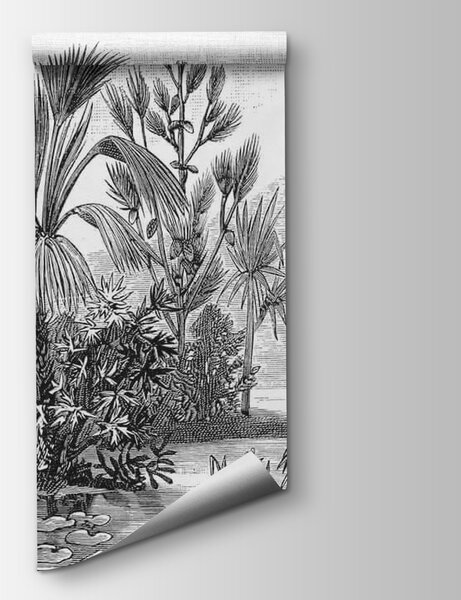 Fototapeta Černobílá kresba tropického lesa, Populární fototapety, Populární fototapety, u52597 - Tapeko.co.cz