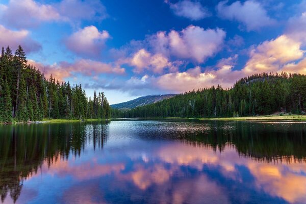 Fototapeta Jezero obklopené stromy a horami, Přírodní fototapety, Populární fototapety, u58610 - Tapeko.co.cz