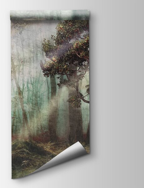 Fototapeta Mlžný les se stromy a mlhou, Přírodní fototapety, Populární fototapety, u80281 - Tapeko.co.cz