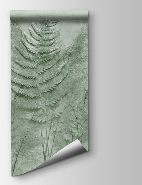 Fototapeta Kapradinové listy ve zdi, Přírodní fototapety, Populární fototapety, w03316v2 - Tapeko.co.cz