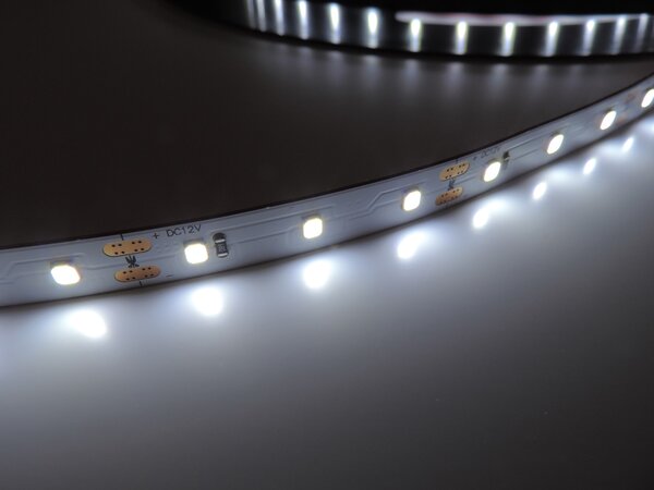 Potravinářský pásek: RYBY, 15000-25000K, 12W/m, PROFI, 12V, IP20, 60LED/m, SMD2835, záruka 5 let