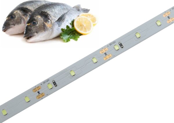 Potravinářský pásek: RYBY, 15000-25000K, 12W/m, PROFI, 12V, IP20, 60LED/m, SMD2835, záruka 5 let