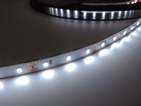 Potravinářský pásek: RYBY, 15000-25000K, 12W/m, PROFI, 12V, IP20, 60LED/m, SMD2835, záruka 5 let