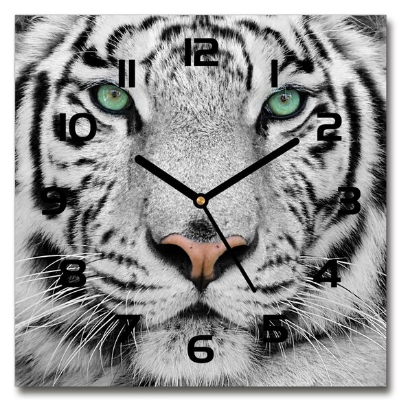 Skleněné hodiny čtverec Bílý tygr pl_zsk_30x30_c-f_13468757