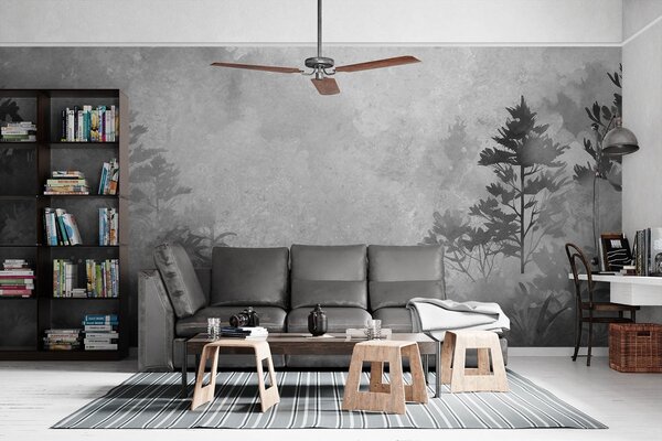 Fototapeta Černobílý obraz stromů a keřů, Přírodní fototapety, Populární fototapety, w08862v1 - Tapeko.co.cz