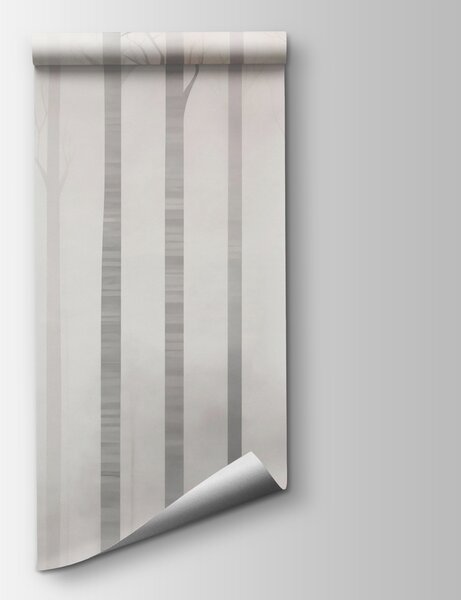 Fototapeta Skupina stromů v mlze, Fototapety s břízami, Populární fototapety, w03386v1 - Tapeko.co.cz