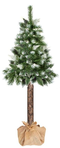 Vánoční stromek Borovice diamantová na kmínku 140 cm