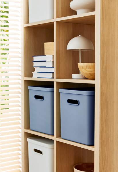 Rotho Úložný box, rovný s víkem, 27l, modrá ALBU LIGHT, 37x29x30