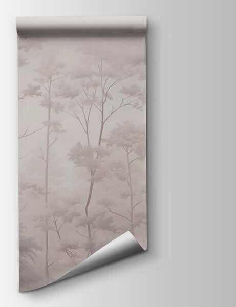 Fototapeta Skupina stromů s mlhou, Fototapety s břízami, Populární fototapety, w03525 - Tapeko.co.cz