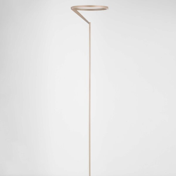 Hnědá kovová stojací LED lampa Nova Luce Tilia 168 cm