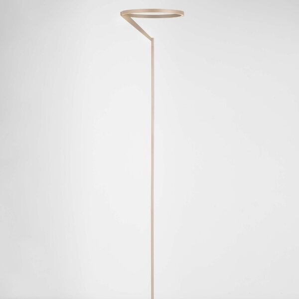 Hnědá kovová stojací LED lampa Nova Luce Tilia 168 cm