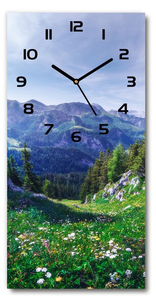 Moderní hodiny nástěnné Alpy pl_zsp_30x60_c-f_122073604