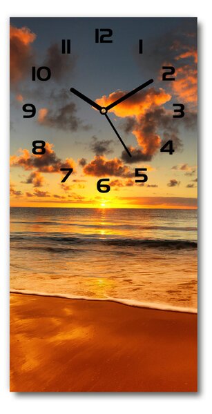 Nástěnné hodiny Australská pláž pl_zsp_30x60_c-f_40275478