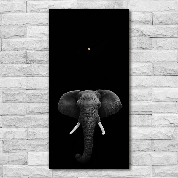 Nástěnné hodiny tiché Africký slona pl_zsp_30x60_c-f_49228540