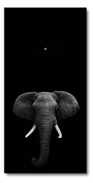 Nástěnné hodiny tiché Africký slona pl_zsp_30x60_c-f_49228540