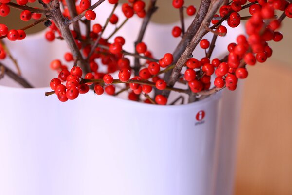Váza Alvar Aalto Iittala 120 mm bílá