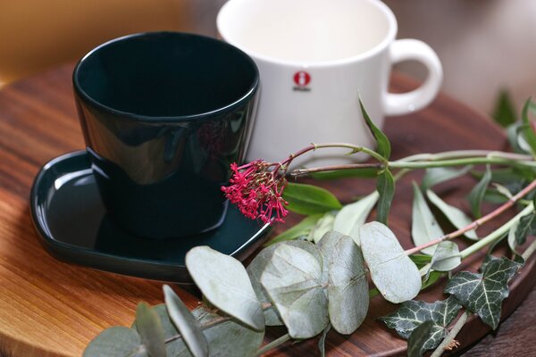 Hrnek X Issey Miyake iittala 0,19 l tmavě zelený *