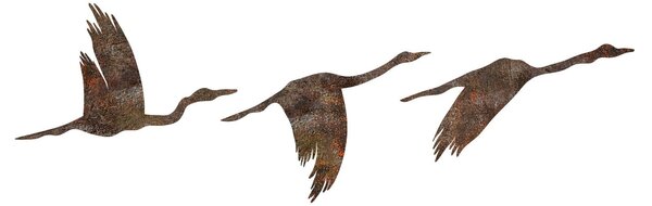 Wallity Nástěnná kovová dekorace Rusty Birds 1 vícebarevná