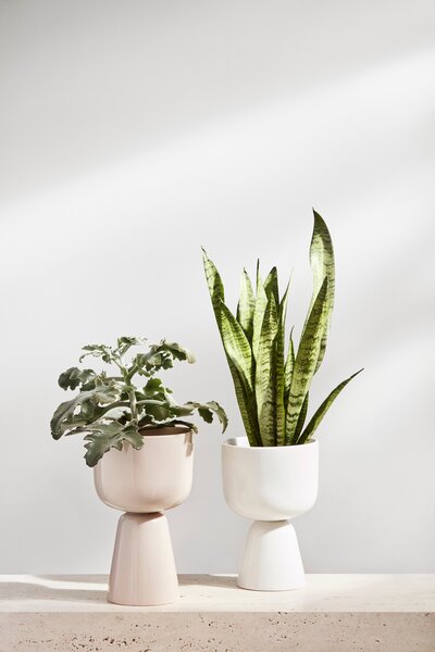 Květináč Nappula iittala nízký bílý