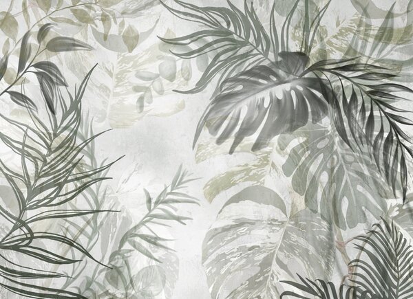 Fototapety Monstera a palmové listy v odstínech zelené a šedé, botanické, tropické listí, rostliny džungle,, Fototapety příroda, w09011 : uwalls.cz