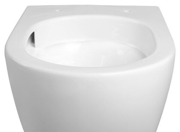 BPS-koupelny Podomítkový modul Geberit DuoFix s WC mísou FW-WH-TR-03 + ovládací tlačítko Delta 01 bílá