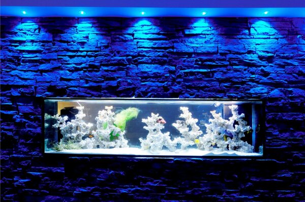 Deko-Light stropní vestavné svítidlo COB 68 RGBW 24V DC 8,50 W 500 lm bílá 565335