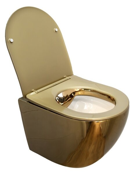 BPS-koupelny Podomítkový modul Geberit DuoFix s WC mísou MU-GL-WH-RIM-03 + ovládací tlačítko Delta 50 chrom
