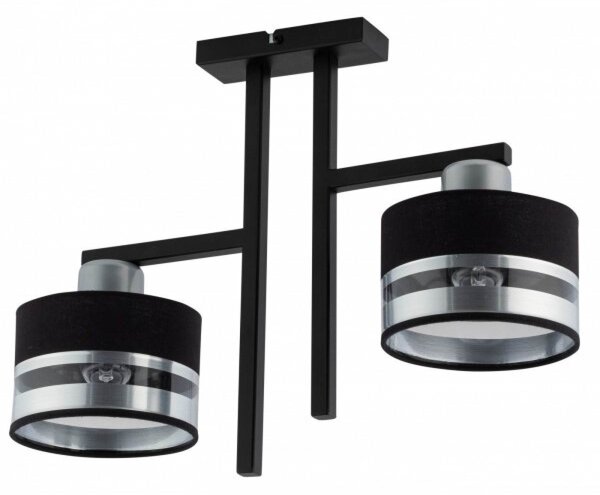 Závěsné moderní osvětlení PRO, 2xE27, 60W, černé, stříbrné