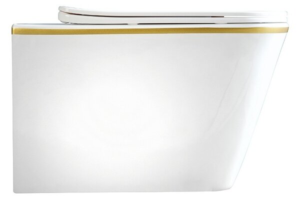 BPS-koupelny Podomítkový modul Geberit DuoFix s WC mísou RN-WH-GL-RIM-03 + ovládací tlačítko Delta 50 chrom