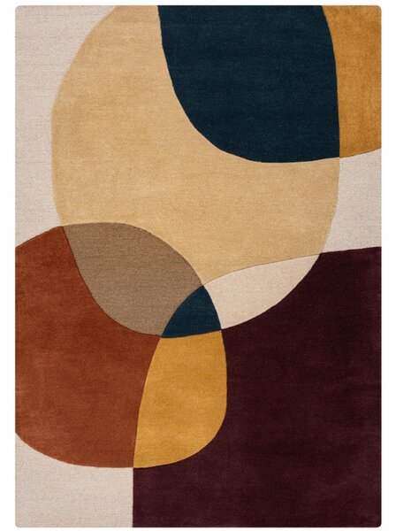 VLNĚNÝ KOBEREC, 120/170 cm fialová, vícebarevná Flair Rugs - Online Only koberce & rohožky, Online Only