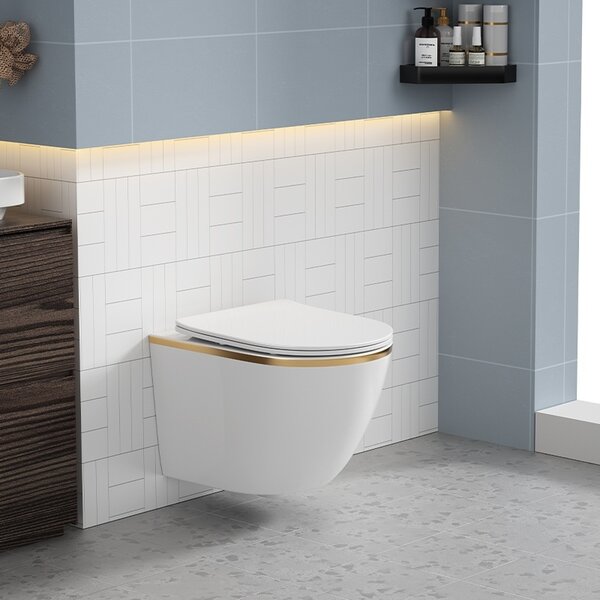 BPS-koupelny Podomítkový modul Geberit DuoFix s WC mísou PK-WH-GL-RIM-03 + ovládací tlačítko Delta 50 bílá