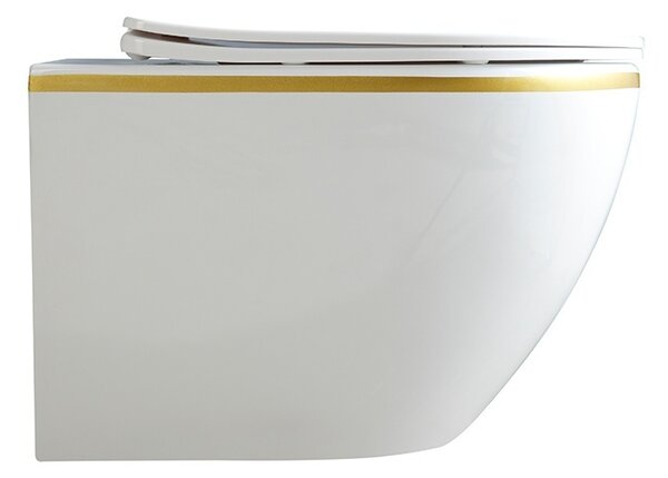 BPS-koupelny Podomítkový modul Geberit DuoFix s WC mísou PK-WH-GL-RIM-03 + ovládací tlačítko Delta 50 bílá