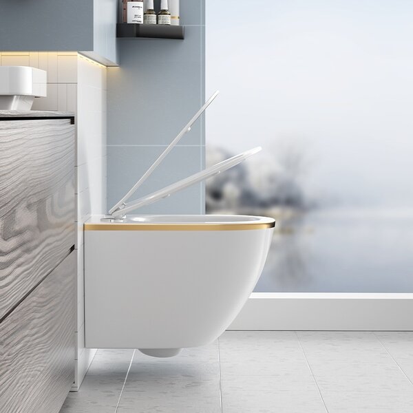BPS-koupelny Podomítkový modul Geberit DuoFix s WC mísou PK-WH-GL-RIM-03 + ovládací tlačítko Delta 50 bílá