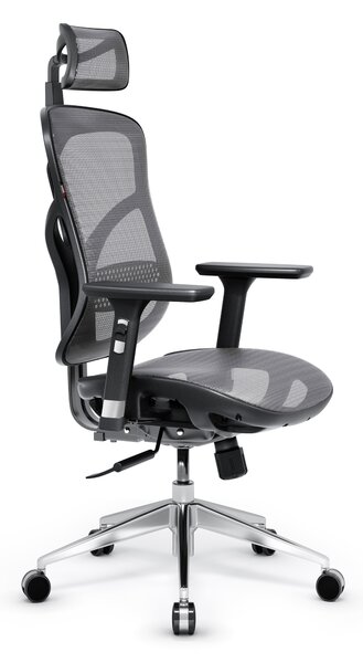 Ergonomická židle Diablo V-Basic: černo-šedá